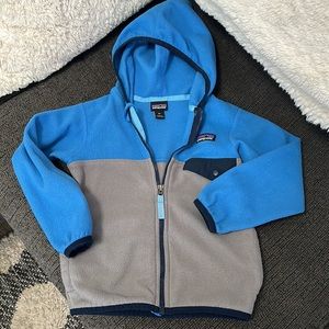 Patagonia Micro D Snap-T Fleece Jacket